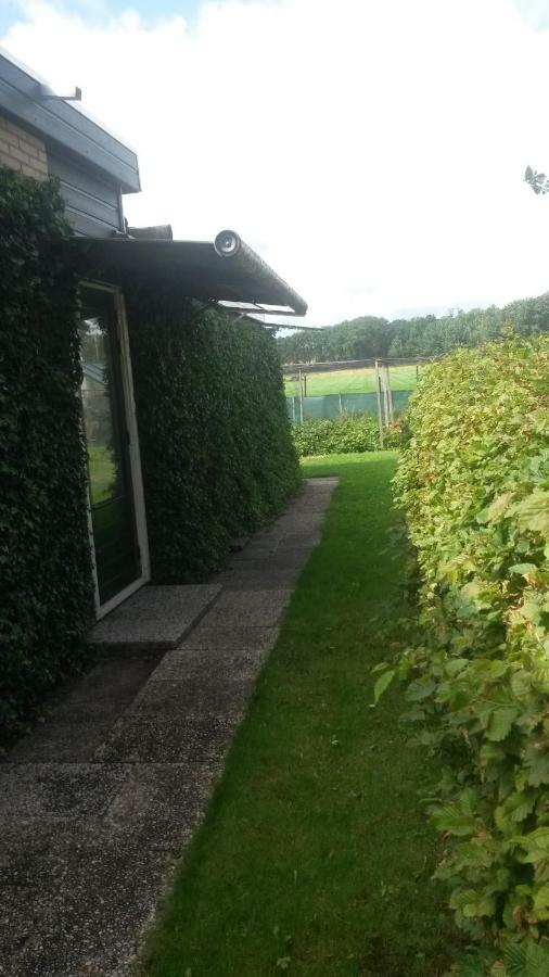 Studio Apartman Wimmenum Kültér fotó
