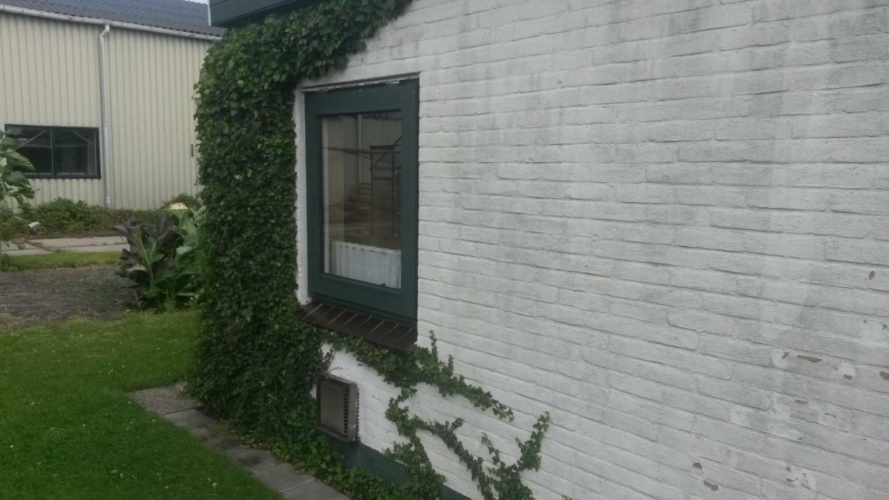 Studio Apartman Wimmenum Kültér fotó